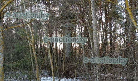 Водонапорная башня вблизи д. Сиреневка (Дрогичинский район), площадью 2 м²