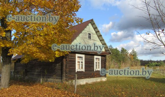 1/2 доля в праве собственности на жилой дом в аг. Засковичи (Молодечненский район), площадью 59 м²