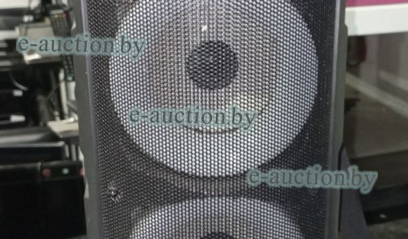 Музыкальная колонка ZQS4239