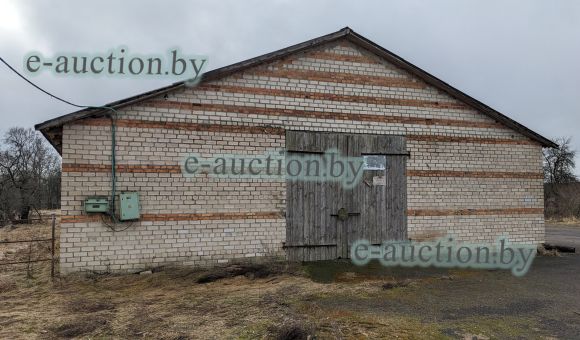 Комплекс недвижимого имущества в д. Деревная (Столинский район)