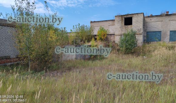 Незавершенное законсервированное капитальное строение в г. Быхове, площадью 112.8м²