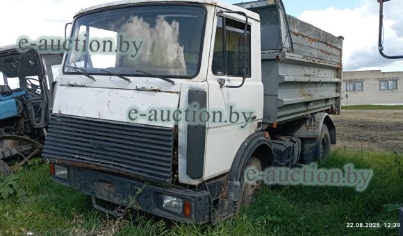 МАЗ 555102-223 P3, 2008