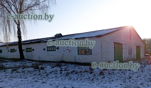 Коровник вблизи д. Сиреневка (Дрогичинский район), площадью 1422.5 м²