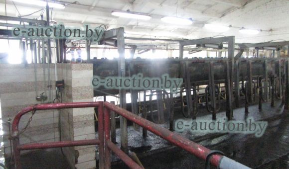 Установка доильная стационарная "Параллель" 2х12