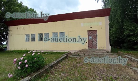 Здание магазина в д. Бабаевичи (Клецкий район), площадью 197 м²