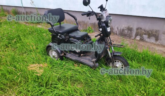 Трицикл BNP ZEVS