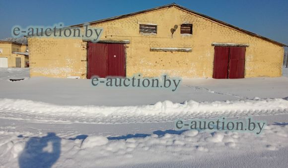 Коровники вблизи д. Наливки (Ивацевичский район)