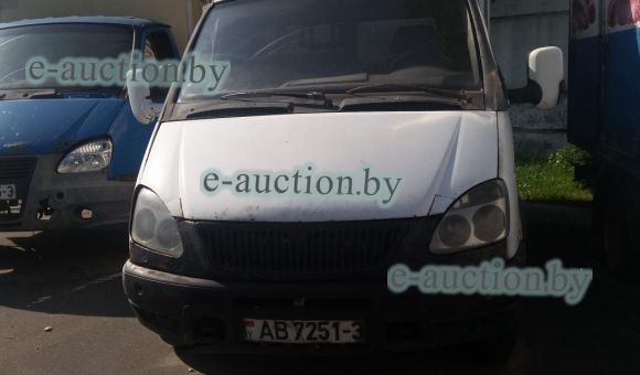 ГАЗ 3302 KUPAVA 232510, 2008