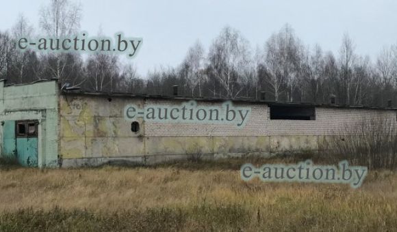 Здание склада №1 в г.п. Болбасово (Оршанский район), площадью 1437.5 м²
