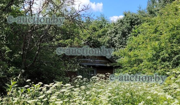 Садовый домик в СТ «Пролеска» (Витебский район), площадью 19 м²