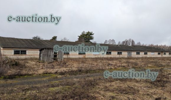 Телятник в д. Деревная (Столинский район), площадью 1628.5 м²