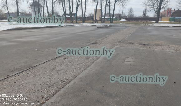 Асфальтное мощение в г. Быхове, площадью 271м²