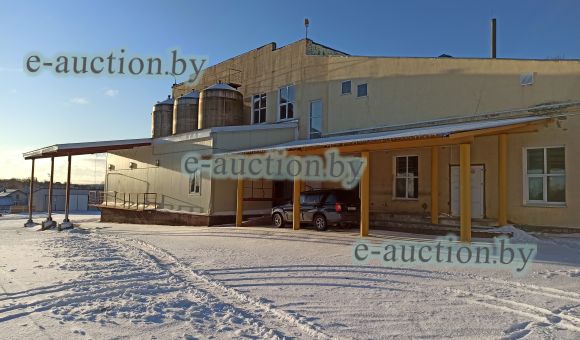 Комплекс имущества в г. Докшицы