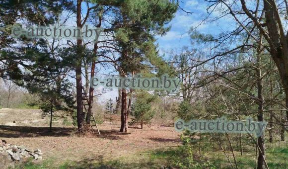 Земельный участок в гп Домачево (Брестский район), площадью 0.1600 га