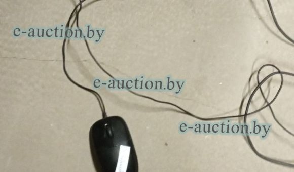 Мышь компьютерная CDL