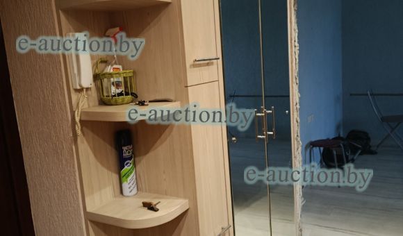 Шкаф-купе с зеркалом