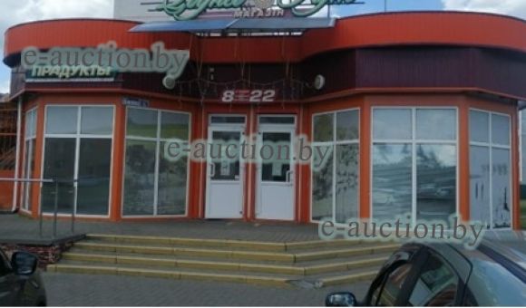 Магазин и летнее кафе в г. Калинковичи, площадью 312.3 м²