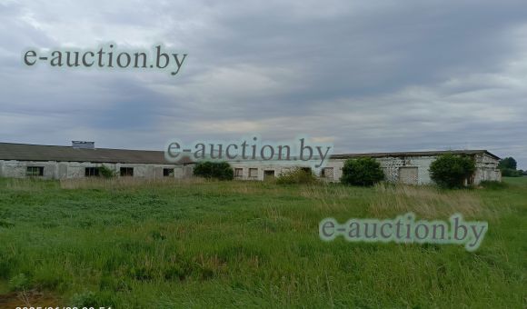 Коровник вблизи д. Стан (Горецкий район) площадью 1714.9м²
