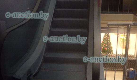 Эскалатор FES352-1000-4510