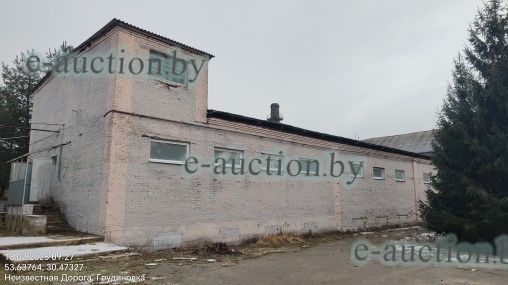 Здание завода вблизи аг. Грудиновка (Быховский район) площадью 2086 м²
