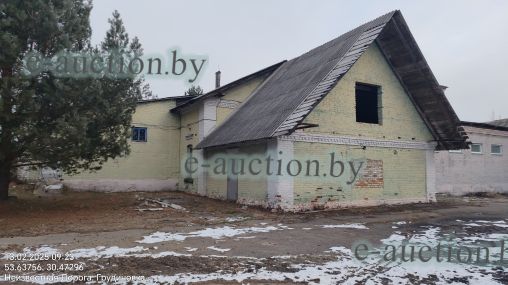 Спиртохранилище вблизи аг. Грудиновка (Быховский район) площадью 213.1м²