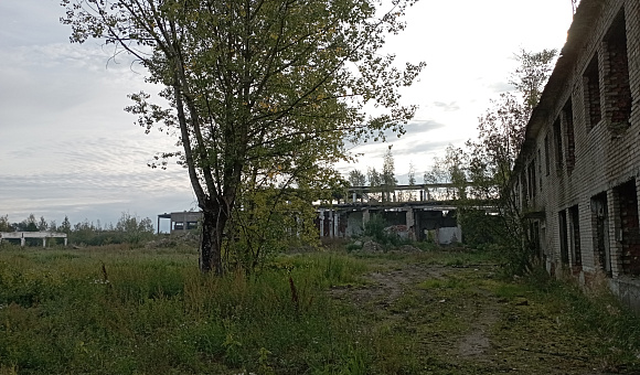 Помещение холодильника в г. Полоцке, площадью 3765.1 м² Помещение холодильника в г. Полоцке, площадью 3765.1 м²