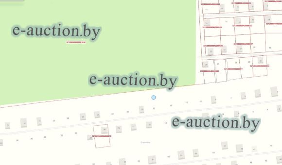 1/3 доля в праве собственности на земельный участок в СТ "Строитель" (Добрушский район), площадью 0.0590 га