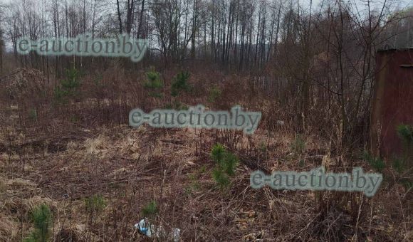 Земельный участок в СТ «Пролеска д. М.Демидково» (Гродненский район), площадью 0.0743 га
