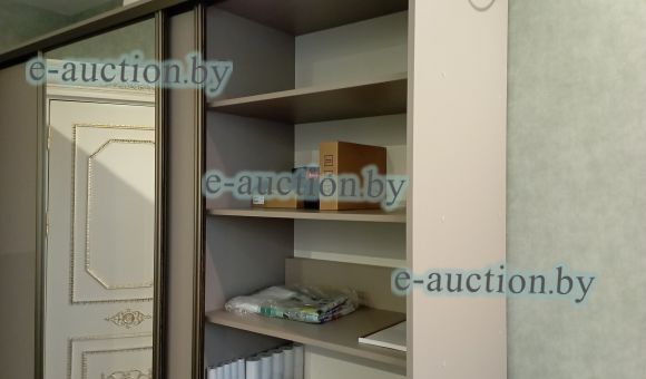 Шкаф встроенный (2750х620х2200мм)