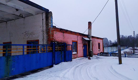 Производственная база в д. Трудовой, состоящая из 5-ти капитальных строений Производственная база в д. Трудовой, состоящая из 5-ти капитальных строений