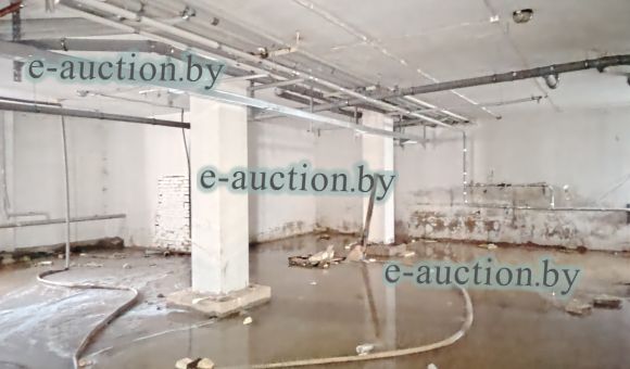 Помещение неустановленного назначения (подвал) в г. Витебске, площадью 231.1 м²