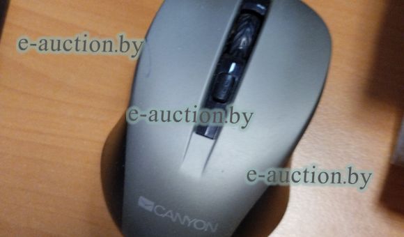 Компьютерная мышь Canyon №16