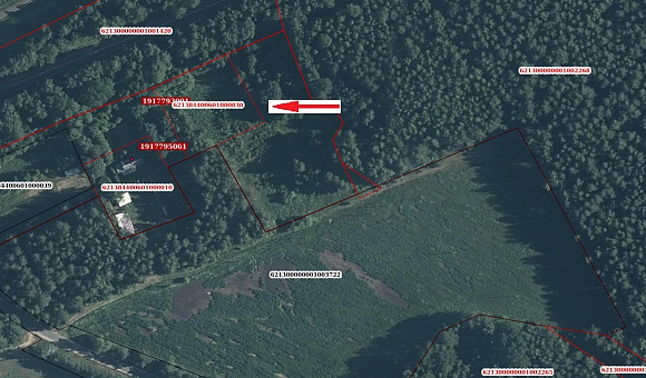 Земельный участок в д. Богданово (Вилейский район), площадью 0.2496 га