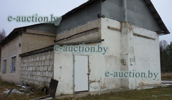 Капитальное строение: одноэтажное блочно-кирпичное здание пожарного депо с кирпичной пристройкой  и блочным сараем