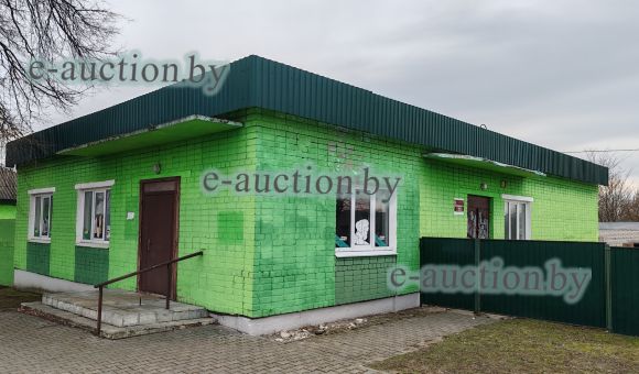 Магазин в аг. Дмитровичи (Каменецкий район), площадью 246.9 м²