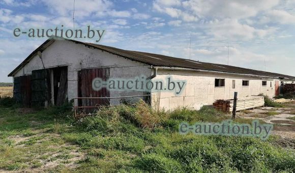 Телятник вблизи аг. Страдечь (Брестский район), площадью 1169.5м²