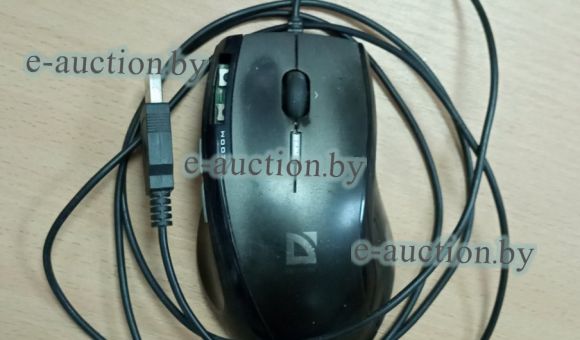 Мышь компьютерная