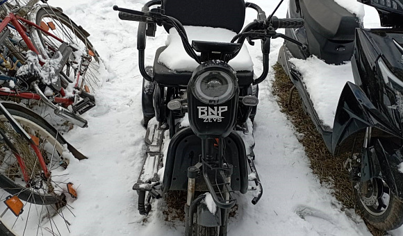 Трицикл электрический BNP Zevs Трицикл электрический BNP Zevs