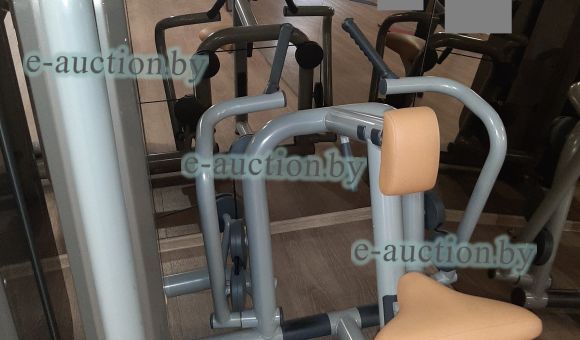 Тренажер LowRow Technogum SPA 