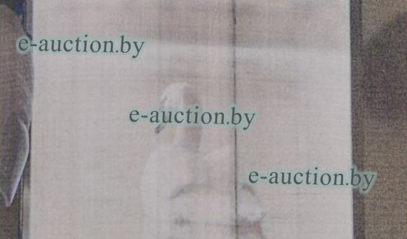 Мобильный телефон Xiaomi Redmi 13