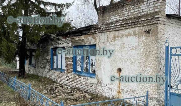 Комплекс недвижимого имущества в г. Буда-Кошелево