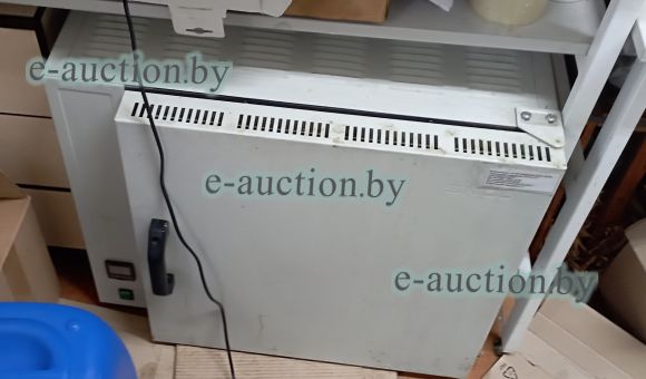 Печь эл. SNOL 58/,50 (А421-124-351х1001)  инв.№0000000691