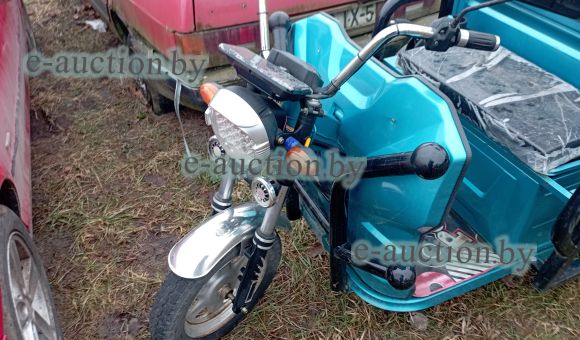 Трицикл электрический BNP Zevs Ultra