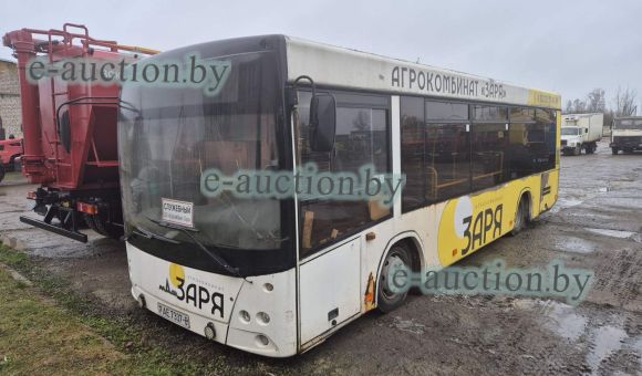Автобус МАЗ 206067, 2013