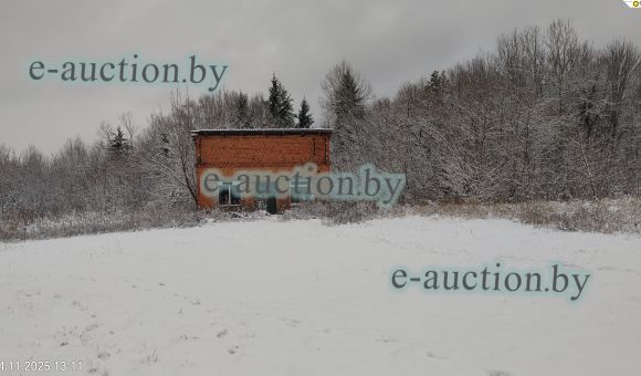 Бытовое помещение вблизи д. Маяк (Бобруйский район) площадью 38м²
