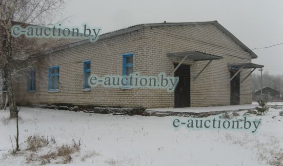 Лот № 3. Капитальное строение (инв.№724/С-6362), расположенное по адресу: Могилевская обл., Чаусский район, Каменский сельсовет, дер. Пилещино, ул. Школьная, 5