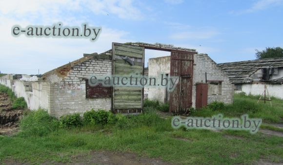 Свинарник в аг. Молотковичи (Пинский район), площадью 719 м²