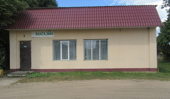 Магазин в д. Новые Новосёлки (Несвижский район), площадью 95.7 м²