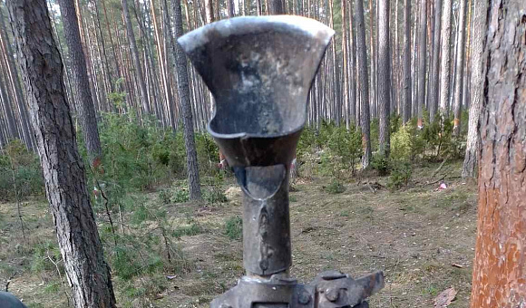 Стомеска Стомеска