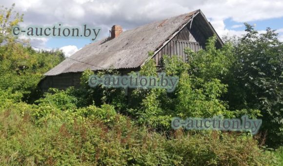 3/4 доли в праве собственности на жилой дом в д. Телеши (Гомельский район), площадью 50.2м²